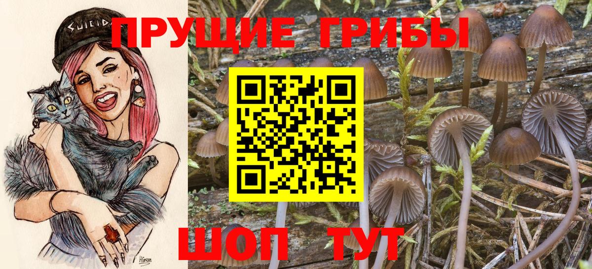 Егорьевск  Псилоцибиновые грибы Cubensis  купить наркоту  Вход с VPN 
